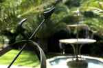 Relax Thassos